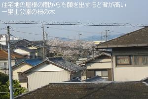 Zn̉̊Ԃoقǔw̍ ꗢR()̖̍