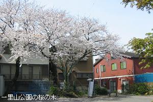 ꗢR̖̍