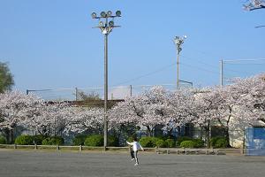 ũOEh