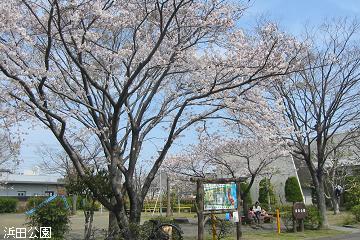�l�c����